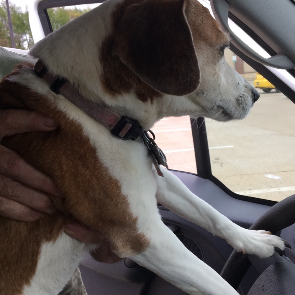 Meet your Posher, Brandi